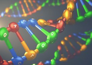 Der Aufbau der DNS