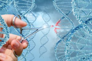 genome editing (CRISPR/Cas)