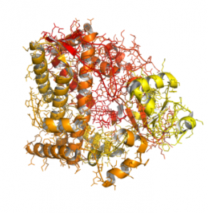 Darstellung eines Proteins 