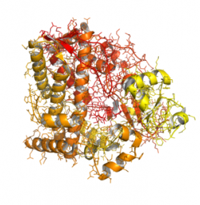 illustration of a protein