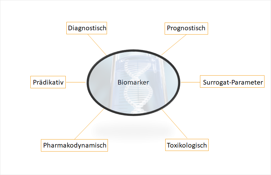Klassifizierung von Biomarkern