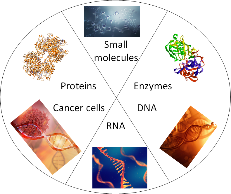 Illustration of different biomarkers