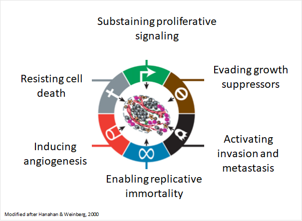 Hallmarks of cancer