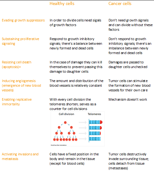 Differences between a healthy cell and a Cancer cell
