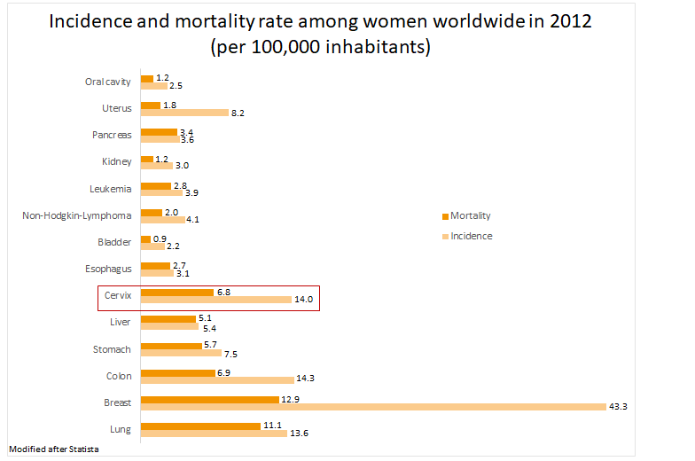 Incidence and mortality rae among women worldwide in 2012