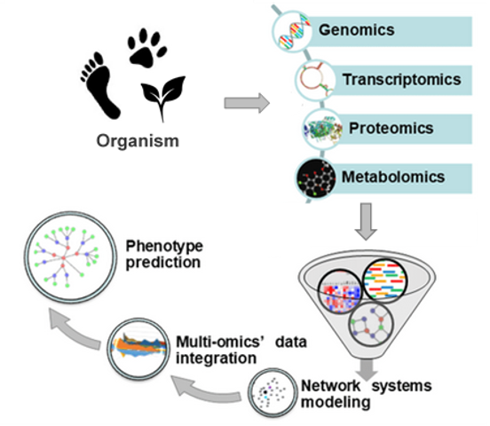 comprehensive-understanding-by-integrating-multi-omics-data