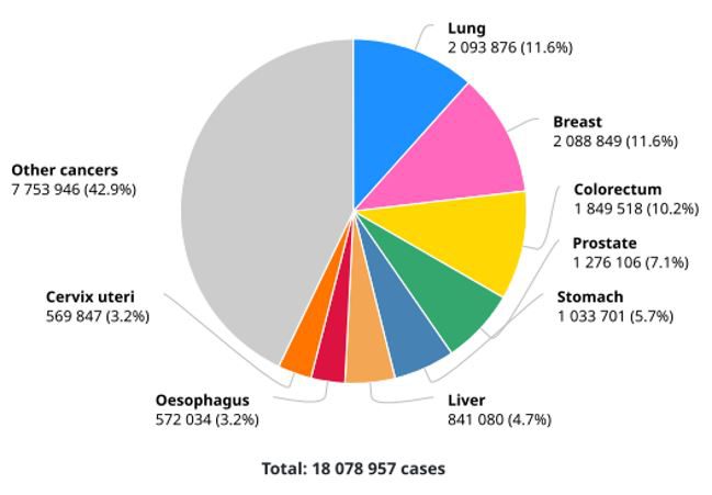 Cancer-incidence-rate-by indications-worldwide-(2018)